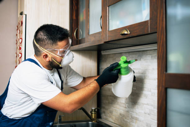 Best Cockroach Control Services  in Cambria, IL