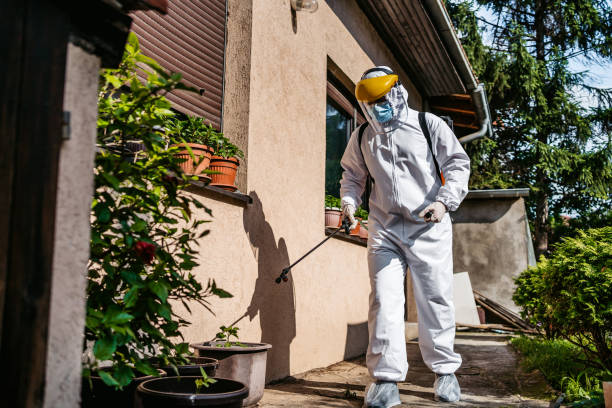 Best Wasp Removal Services  in Cambria, IL