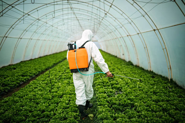 Best Best Pest Control Companies  in Cambria, IL