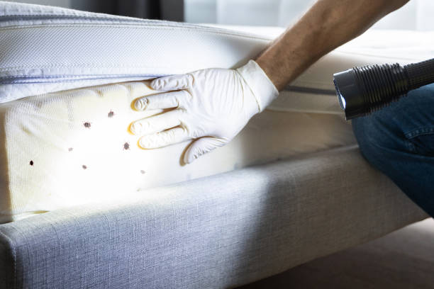 Best Emergency Pest Control  in Cambria, IL