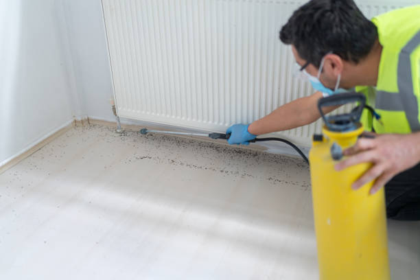 Best Insect Control  in Cambria, IL