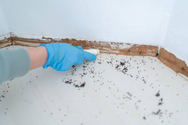 Best Pest Inspection Near Me  in Cambria, IL